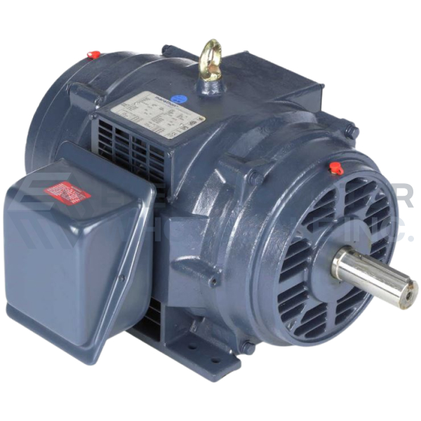256T DP WB CI.jpg